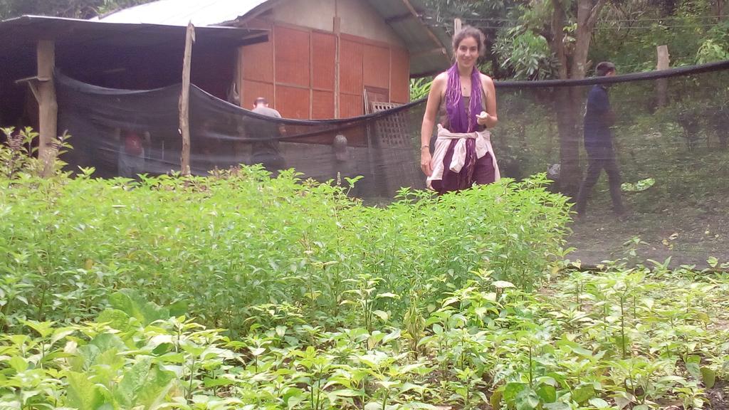 The Local Story Resort Ban Mon Talaeng المظهر الخارجي الصورة